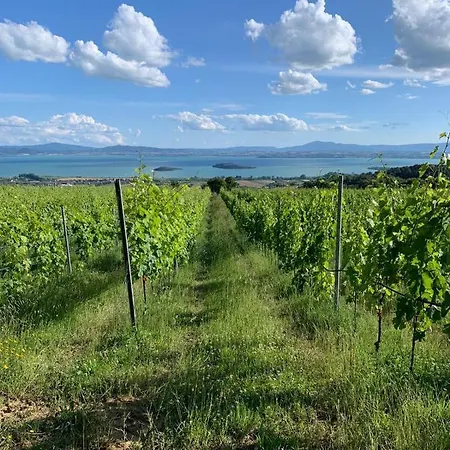 Di Colle In Colle - 特拉西梅诺湖畔帕西尼亚诺