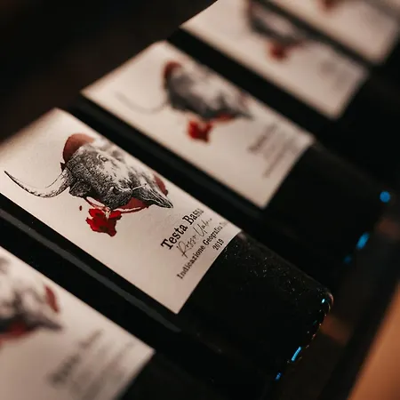 Di Colle In Colle - Agroturismo