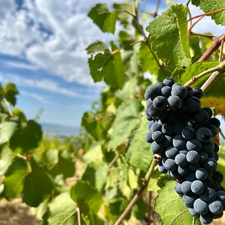 Di Colle In Colle - * Пассиньяно-суль-Тразимено