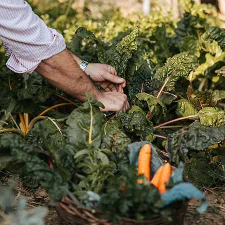 Çiftlik konaklama Di Colle In Colle - Passignano sul Trasimeno